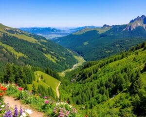 Wanderrouten in der Steiermark: Natur pur