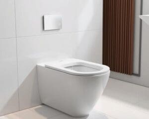 Wie funktioniert ein modernes Bidet WC genau?