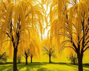 Welche Bäume blühen mit gelben Blüten?